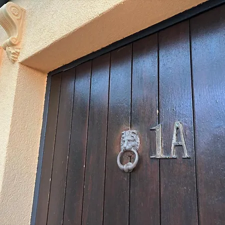 Amarilla Vila *