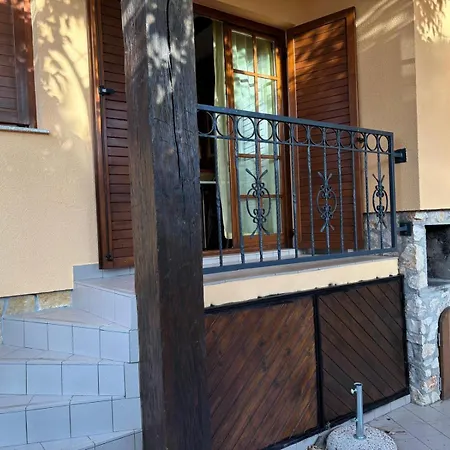 Amarilla Vila *