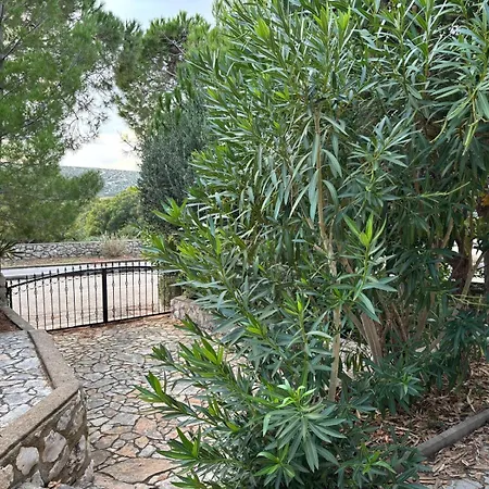 Vila Amarilla Kolan