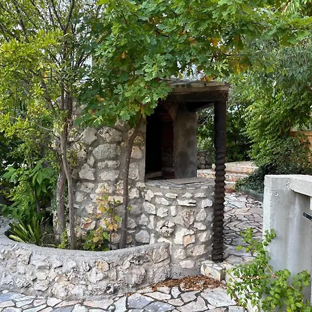 Amarilla Vila